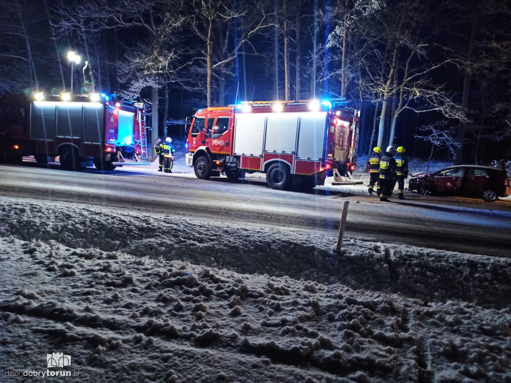 Wypadek na drodze w pobliżu Torunia