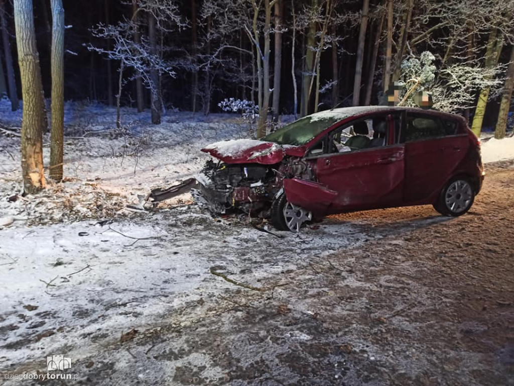 Wypadek na drodze w pobliżu Torunia