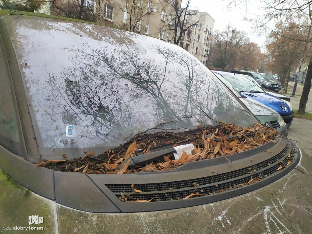 Takie auto stoi na Bydgoskim Przedmieściu