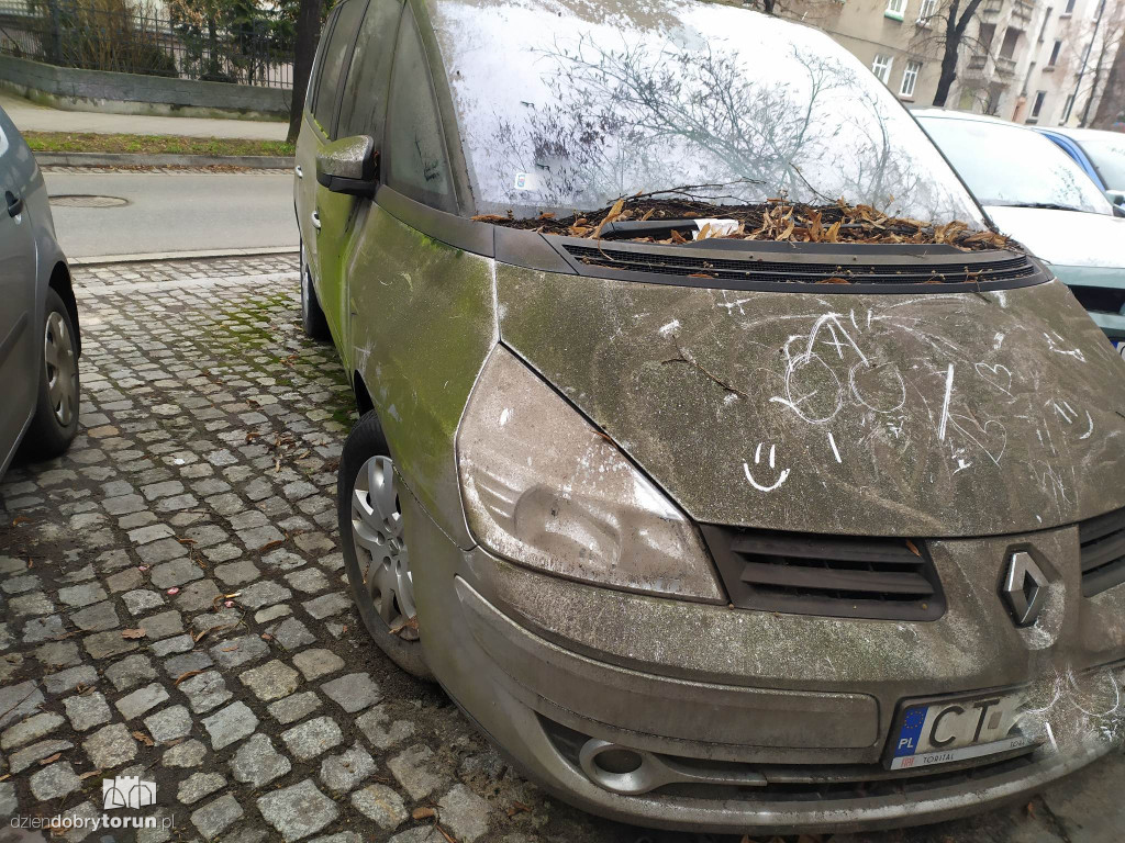 Takie auto stoi na Bydgoskim Przedmieściu