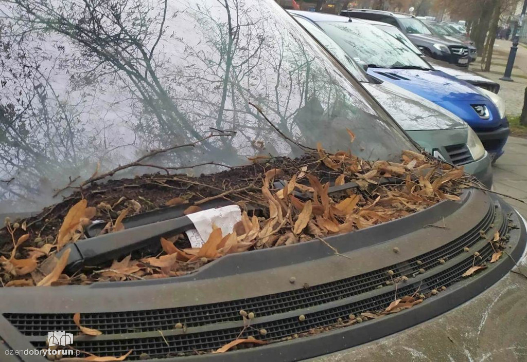 Takie auto stoi na Bydgoskim Przedmieściu