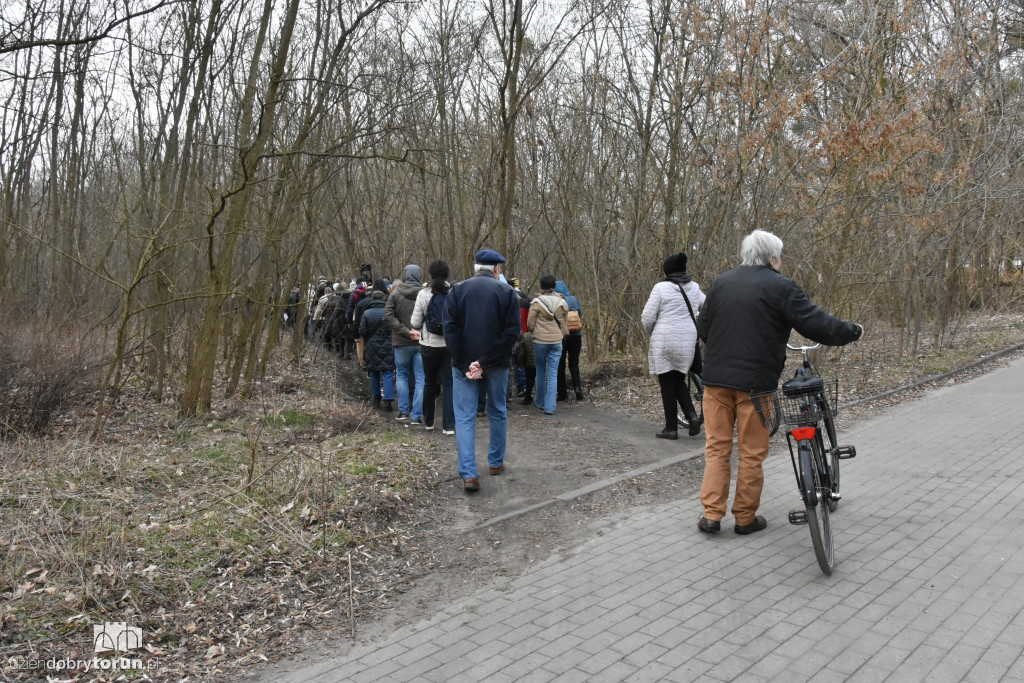 Droga krzyżowa ulicami Torunia