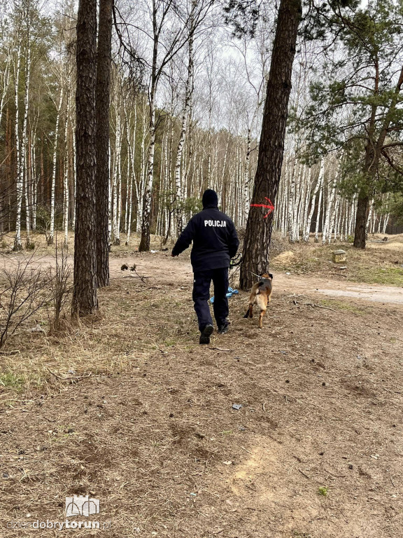 Wypadek w Brzozie pod Bydgoszczą