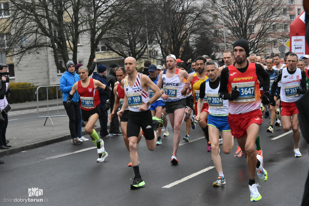 Półmaraton w Toruniu