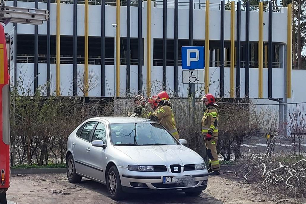 Drzewo przewróciło się na osobówkę