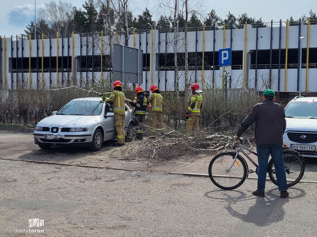 Drzewo przewróciło się na osobówkę