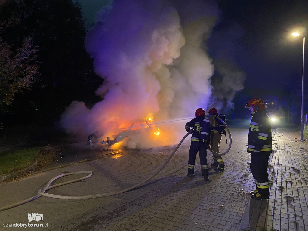 Toruńscy strażacy w akcji