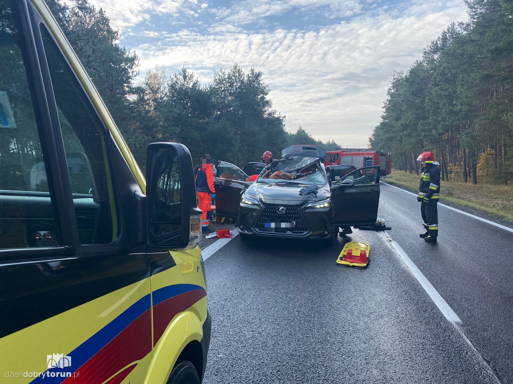 Toruńscy strażacy w akcji