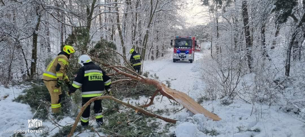 Toruńscy strażacy w akcji