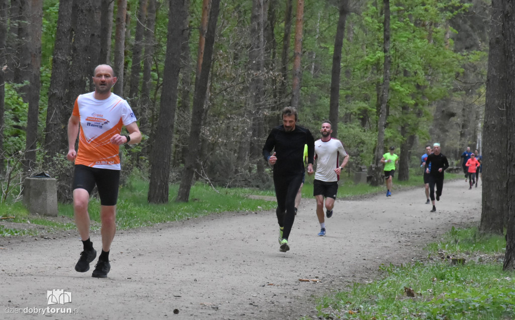 347. Parkrun w Toruniu