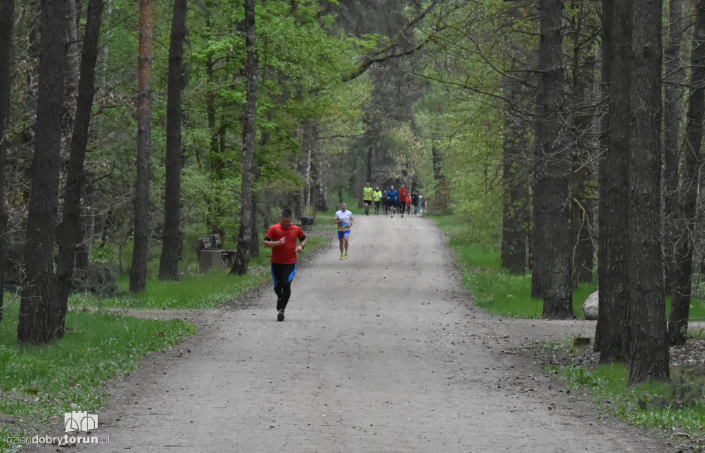 347. Parkrun w Toruniu