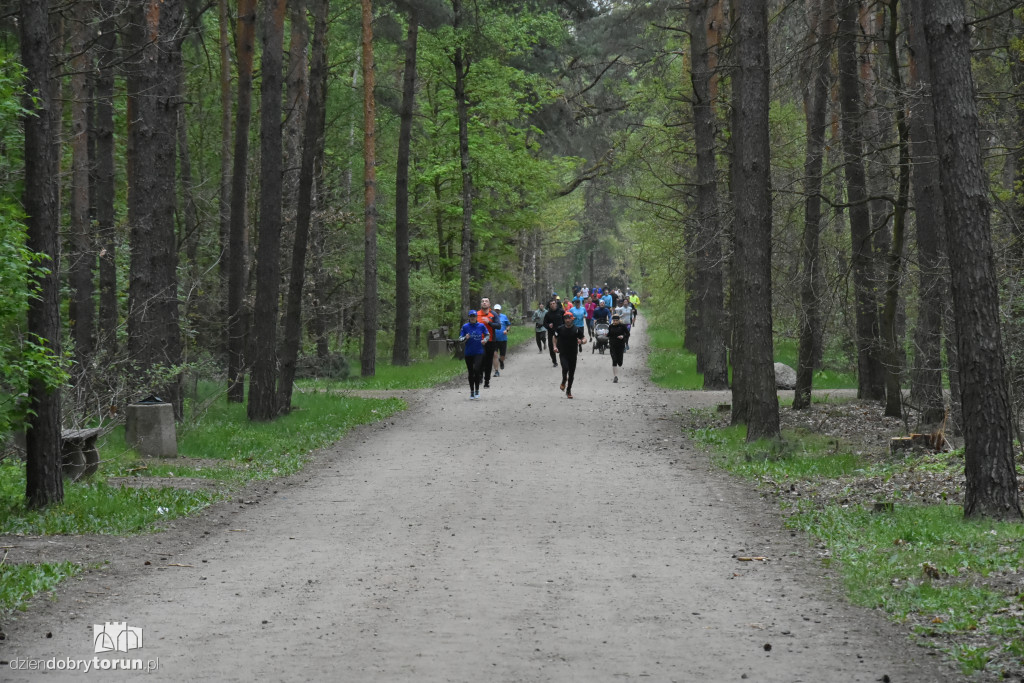 347. Parkrun w Toruniu