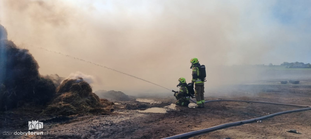 Pożar w Biskupicach pod Toruniem