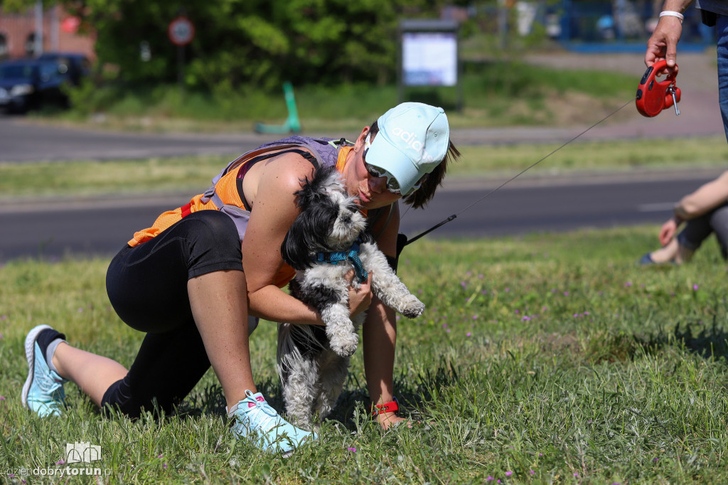 Run Toruń 2023