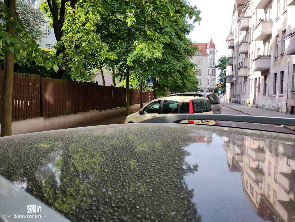 Tak wyglądają samochody w Toruniu