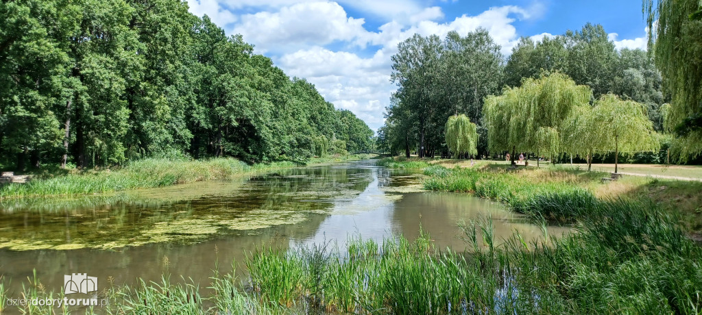 Czarujący park na Bydgoskim Przedmieściu