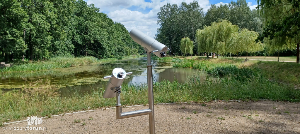 Czarujący park na Bydgoskim Przedmieściu