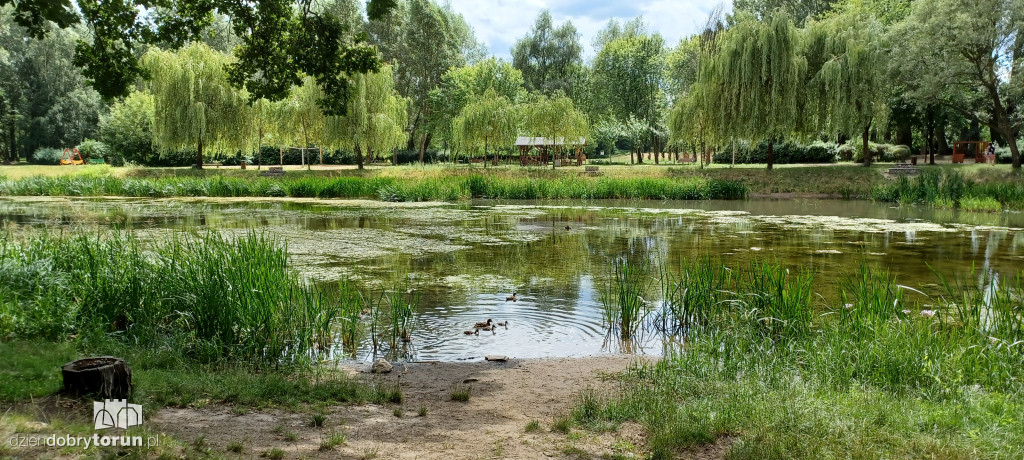 Czarujący park na Bydgoskim Przedmieściu