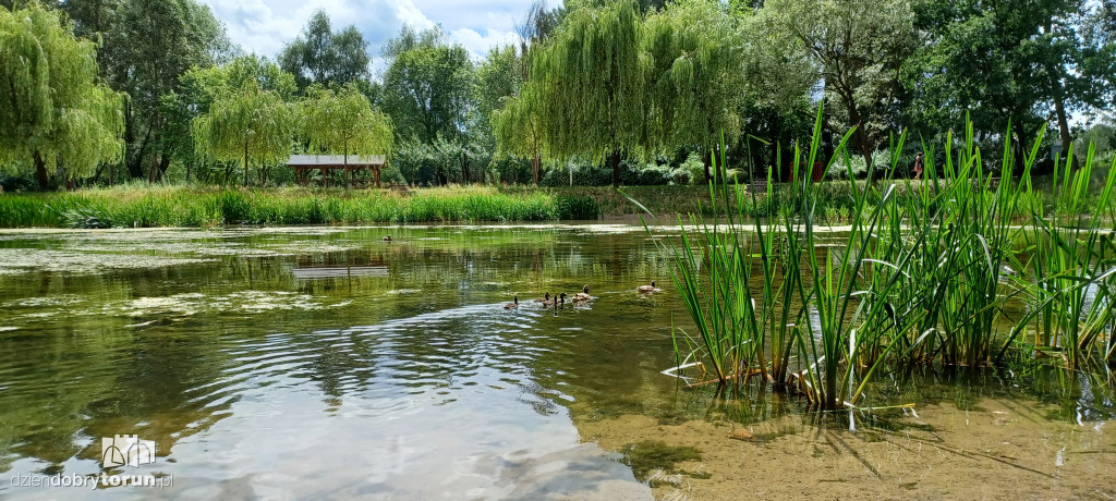 Czarujący park na Bydgoskim Przedmieściu