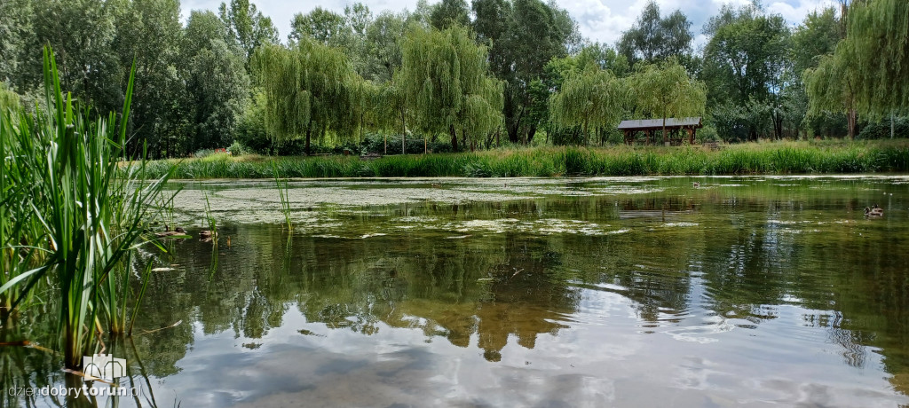 Czarujący park na Bydgoskim Przedmieściu