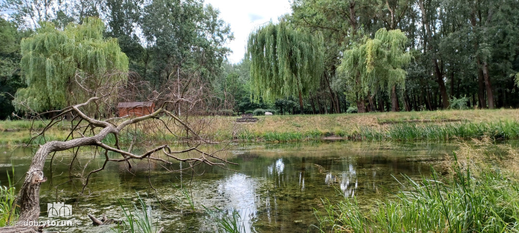 Czarujący park na Bydgoskim Przedmieściu