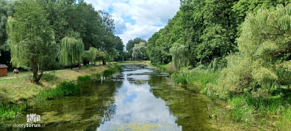 Czarujący park na Bydgoskim Przedmieściu