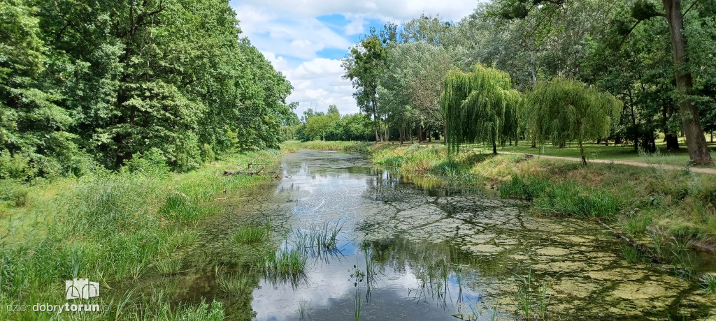 Czarujący park na Bydgoskim Przedmieściu
