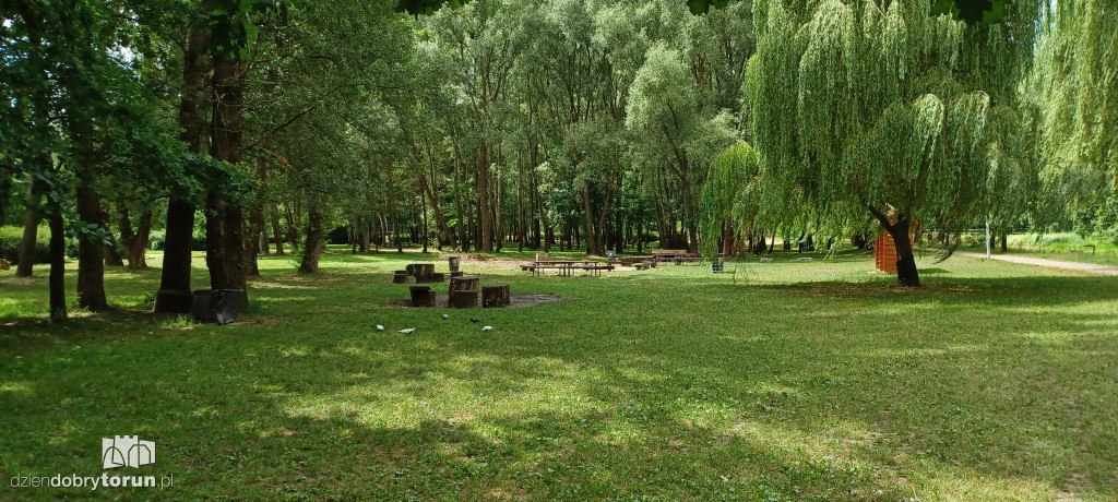 Czarujący park na Bydgoskim Przedmieściu