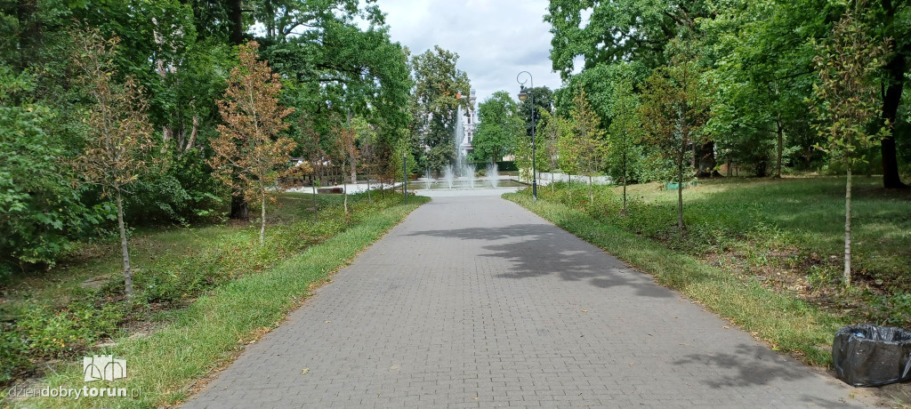 Czarujący park na Bydgoskim Przedmieściu
