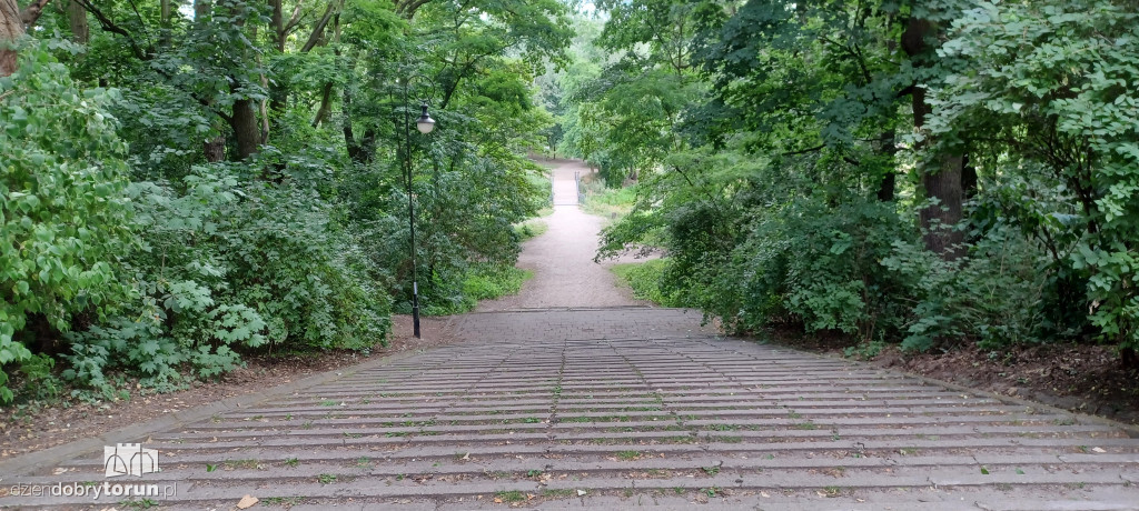 Czarujący park na Bydgoskim Przedmieściu