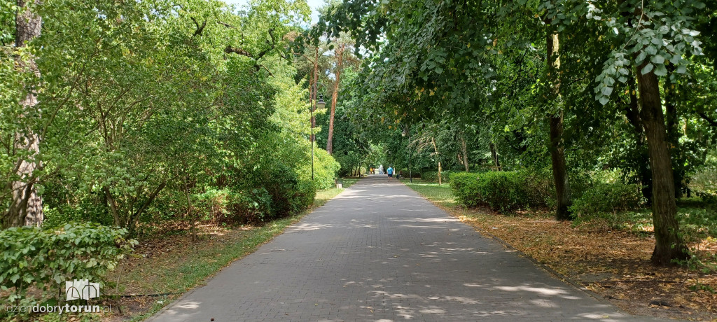 Czarujący park na Bydgoskim Przedmieściu