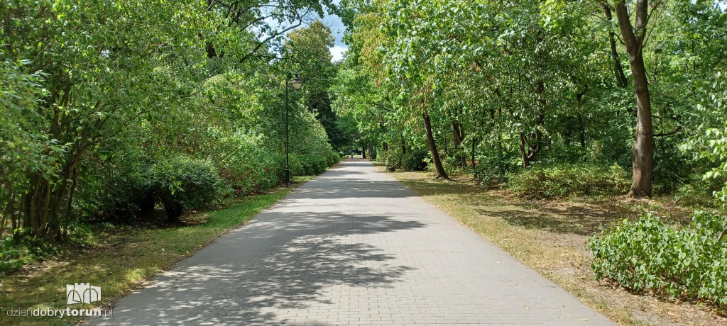 Czarujący park na Bydgoskim Przedmieściu
