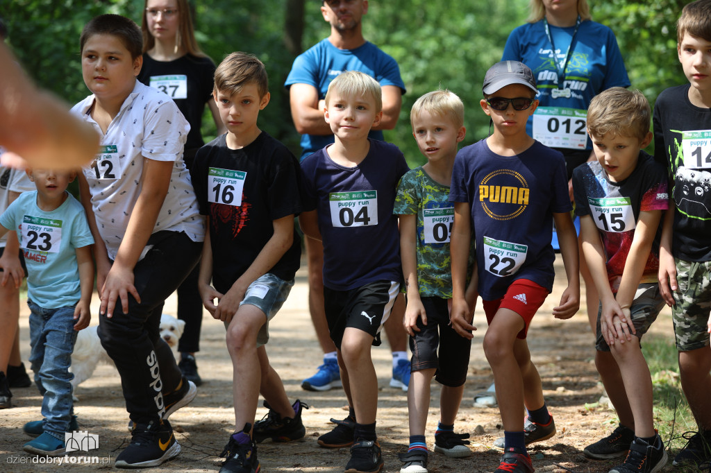 Run Dog w podtoruńskim lesie