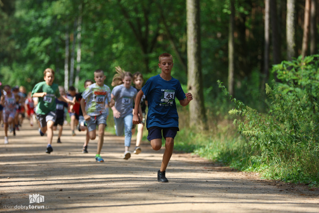 Run Dog w podtoruńskim lesie