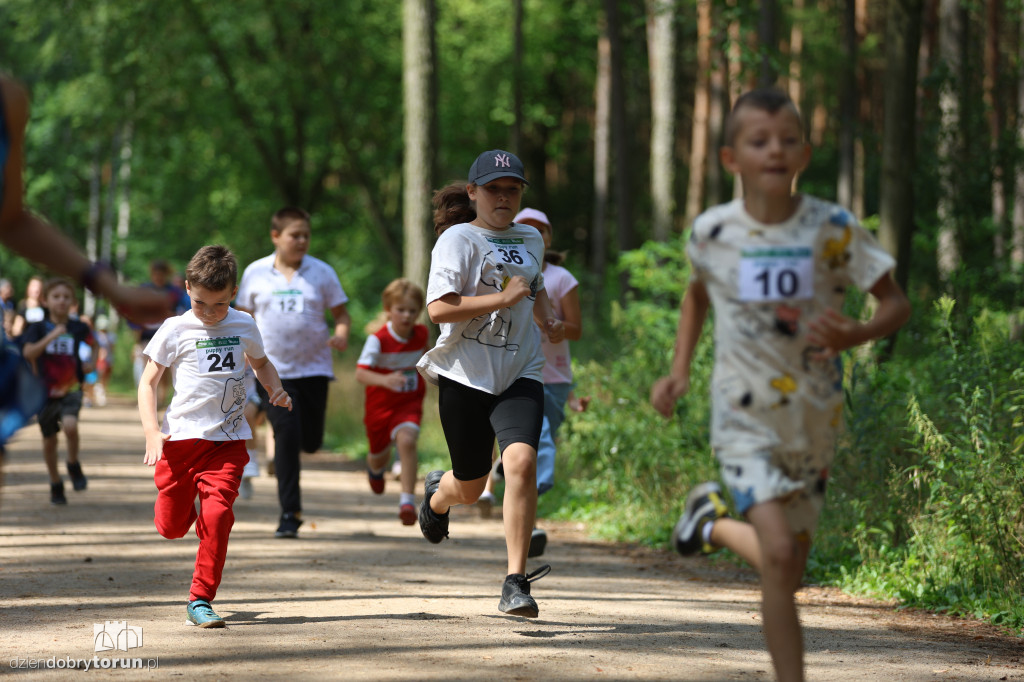 Run Dog w podtoruńskim lesie