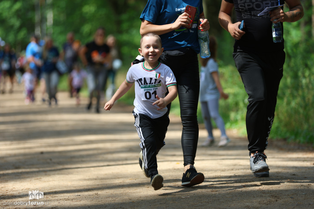 Run Dog w podtoruńskim lesie