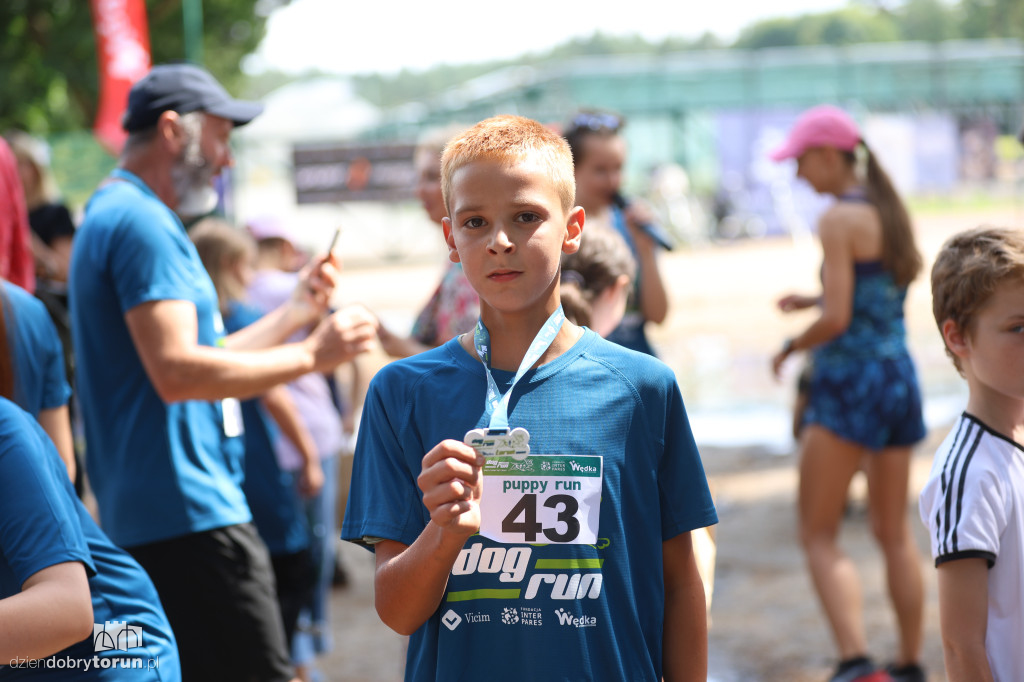 Run Dog w podtoruńskim lesie