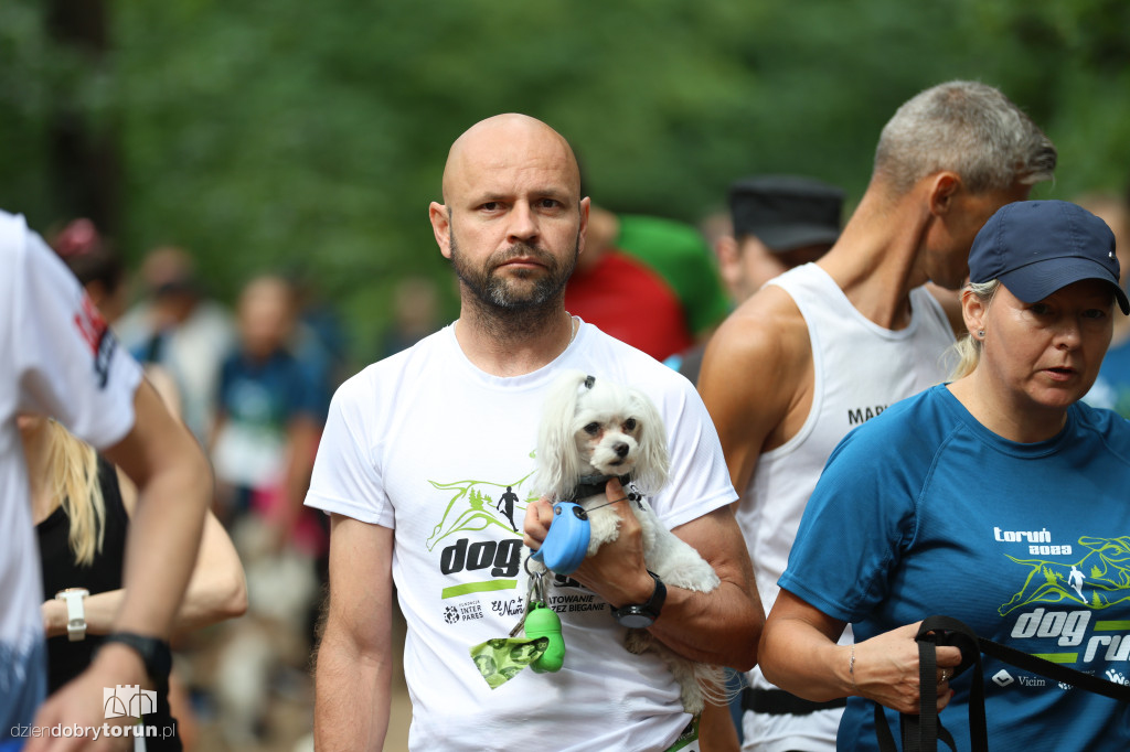 Run Dog w podtoruńskim lesie