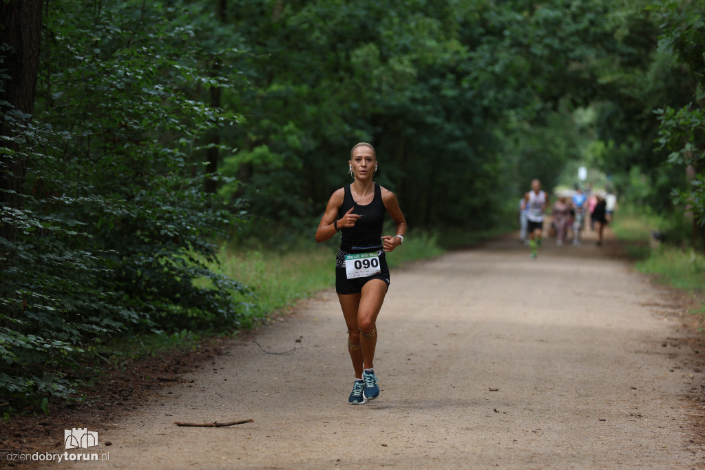 Run Dog w podtoruńskim lesie