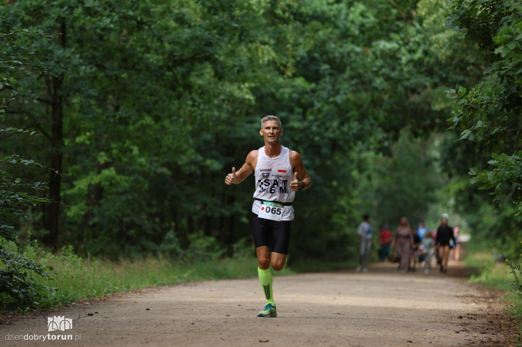 Run Dog w podtoruńskim lesie