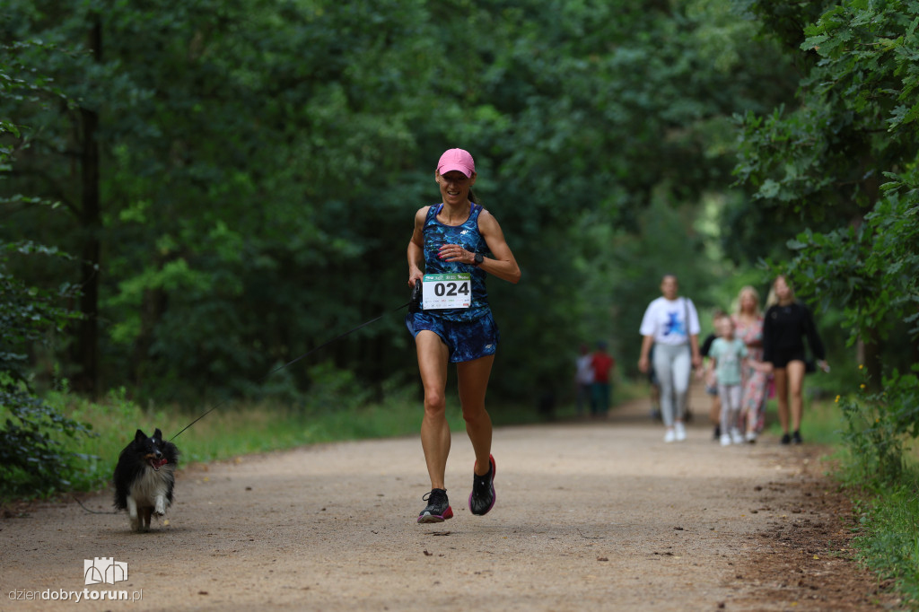 Run Dog w podtoruńskim lesie