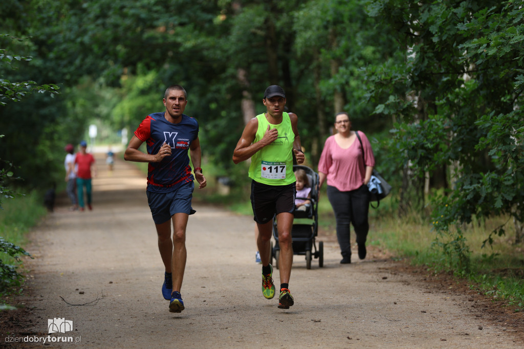 Run Dog w podtoruńskim lesie