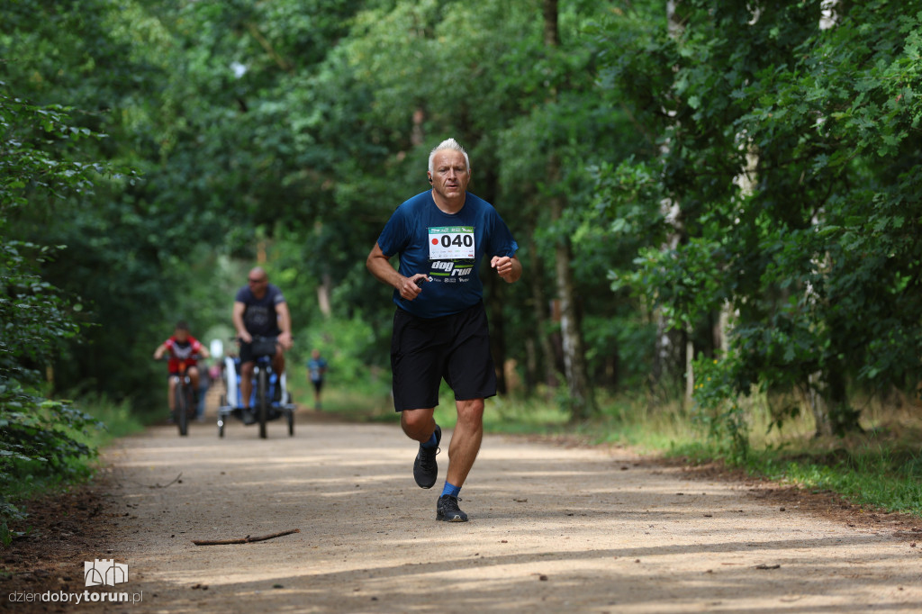 Run Dog w podtoruńskim lesie