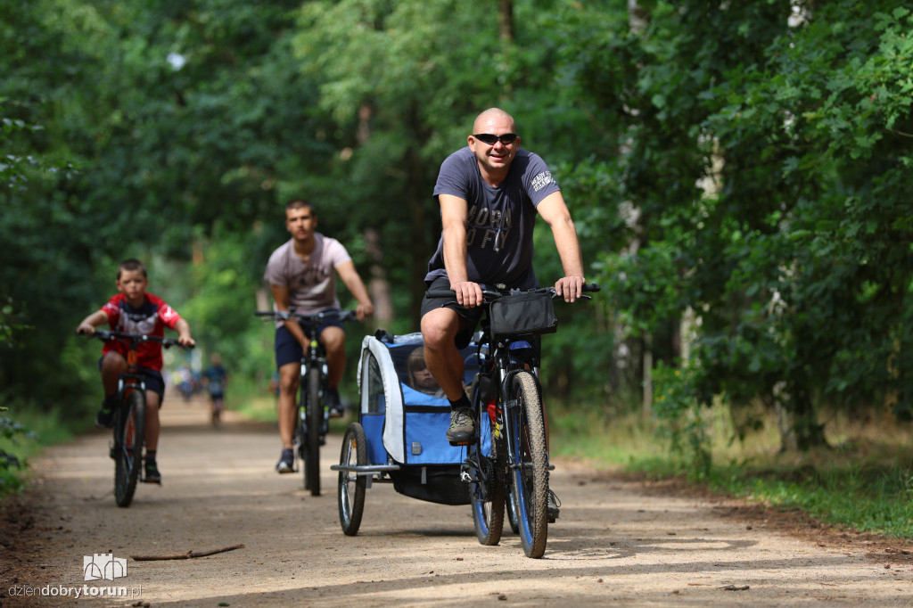 Run Dog w podtoruńskim lesie