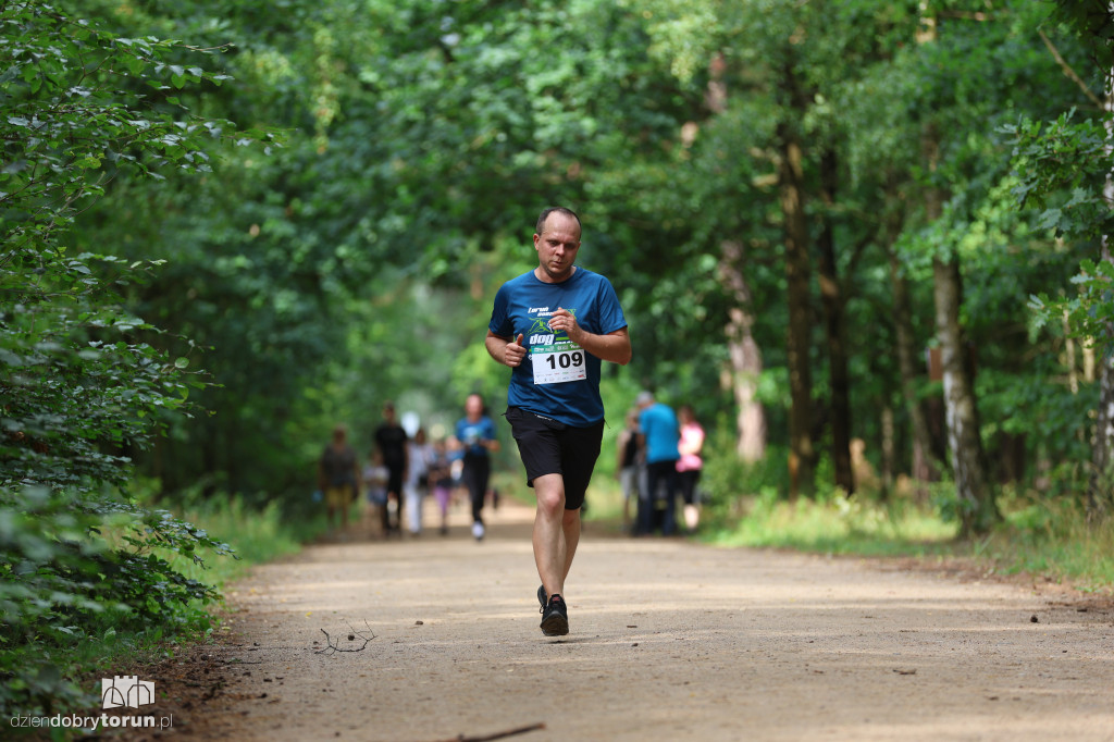 Run Dog w podtoruńskim lesie