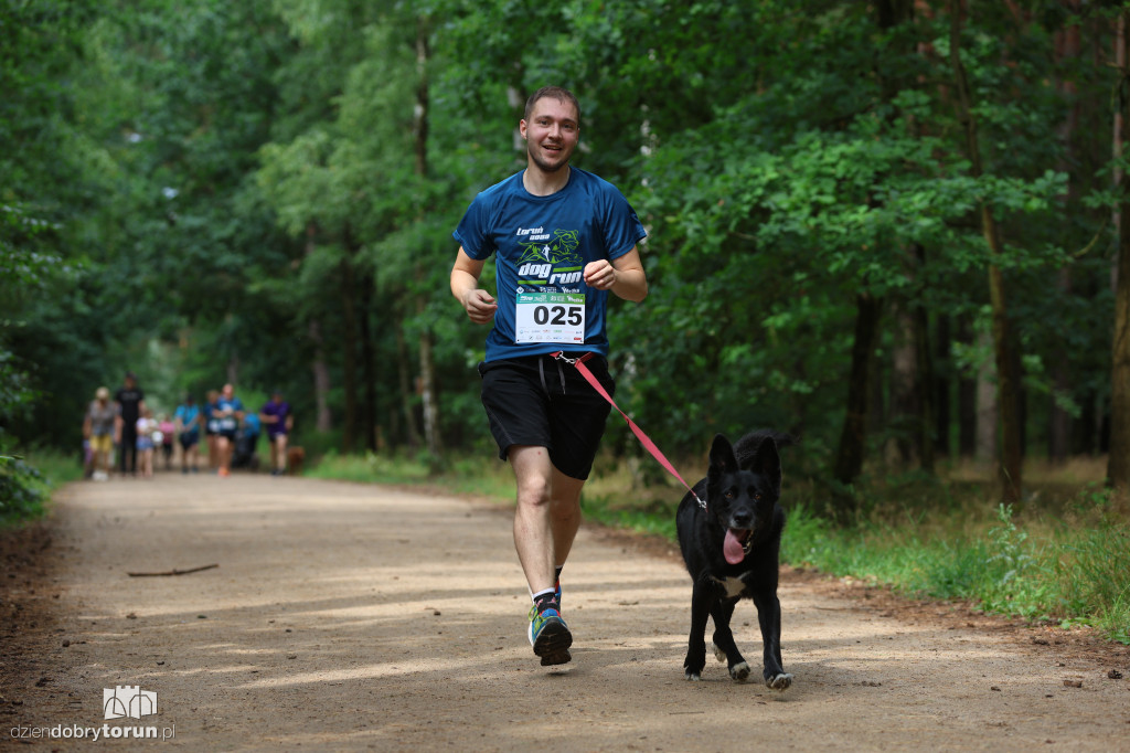 Run Dog w podtoruńskim lesie