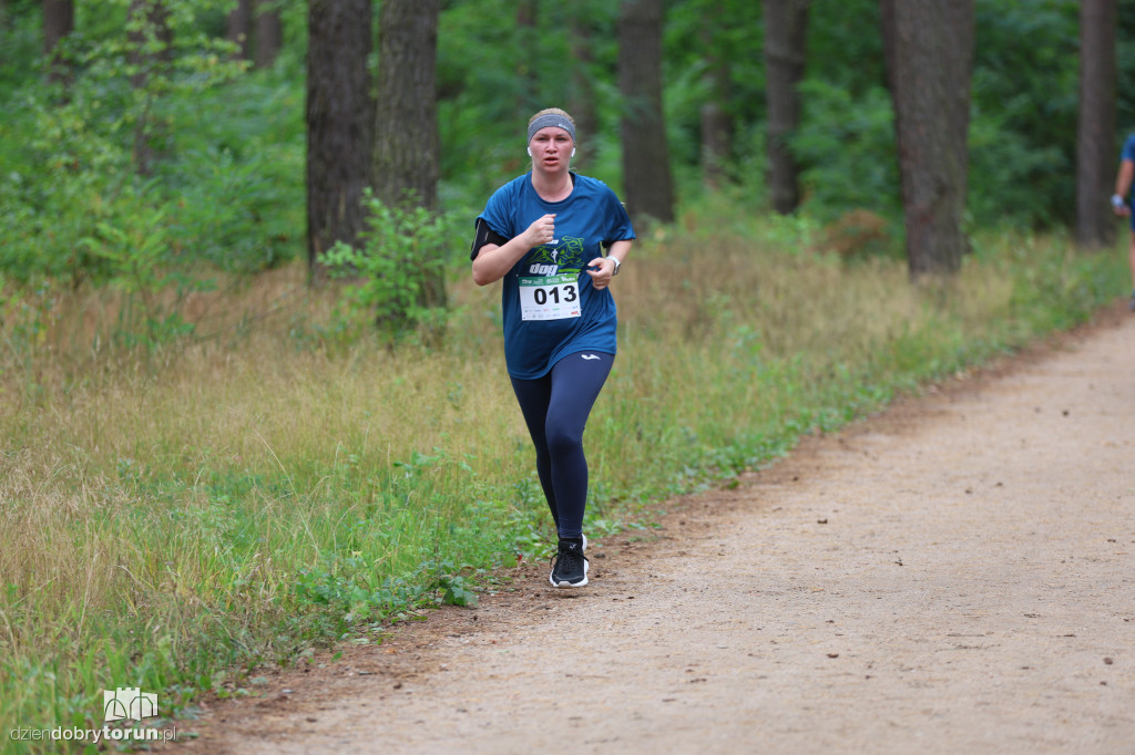 Run Dog w podtoruńskim lesie