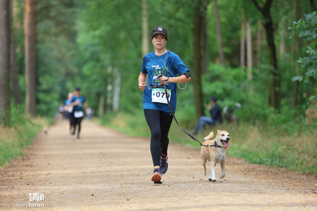 Run Dog w podtoruńskim lesie