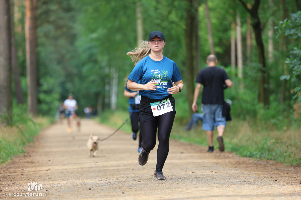 Run Dog w podtoruńskim lesie