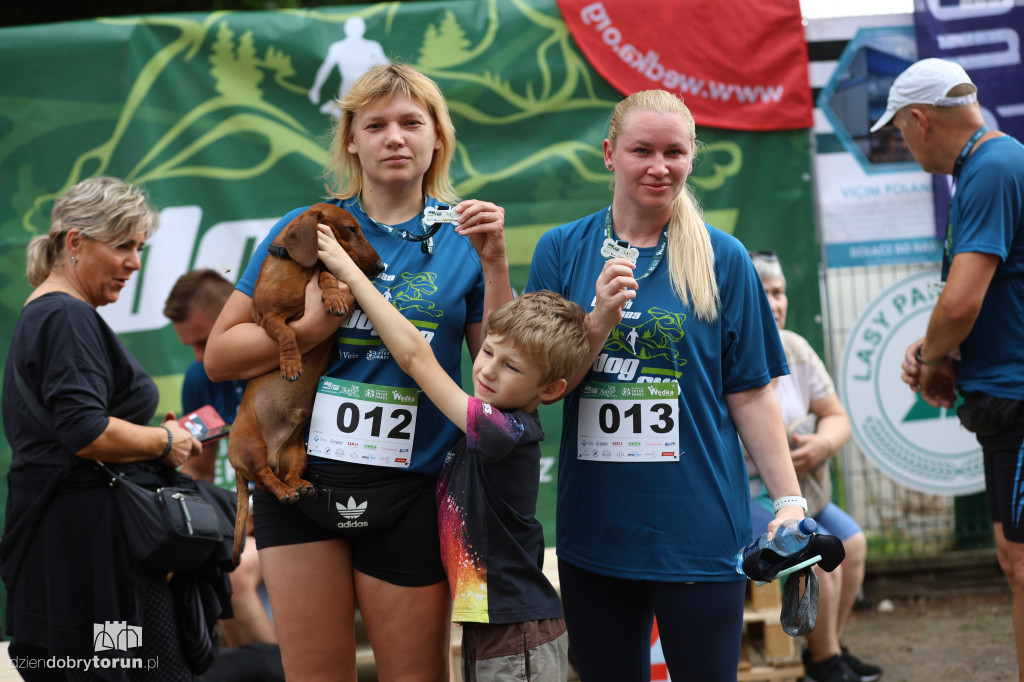 Run Dog w podtoruńskim lesie